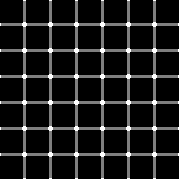 Hermann Grid 2