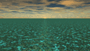 Algae Ocean Sunset
