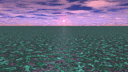 Algae Ocean Sunset