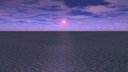 Algae Ocean Sunset