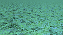 Algae Ocean