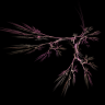 Apophysis